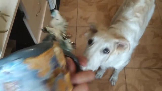 Обзор кружки ручной работы. Аврора бдит