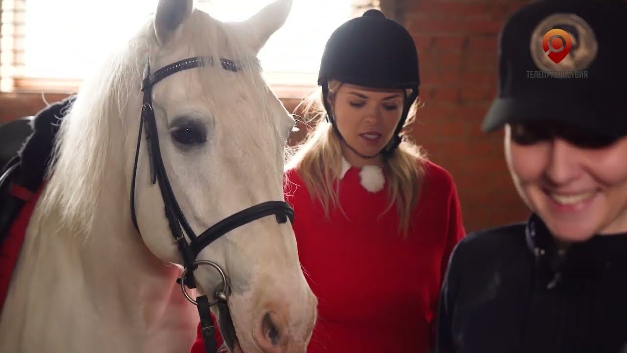 Краснодарский ипподром / Шесть чувств. Краснодарский край. Осязание