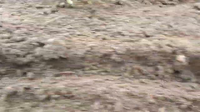 Зимний посев смотреть онлайн