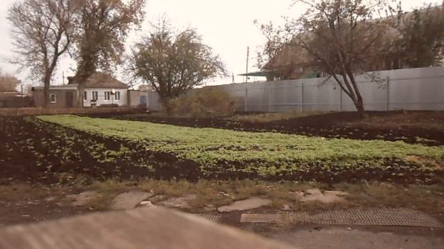 Мотоблок "ОКА". Осенняя вспашка по горчице. смотреть онлайн