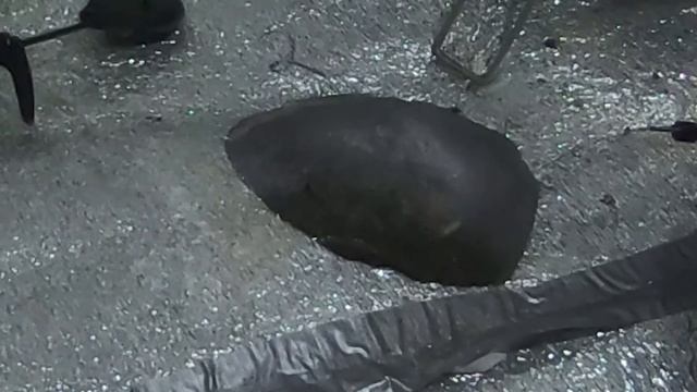 Зимняя рыбалка на озере Уелги. Карась проснулся! смотреть онлайн