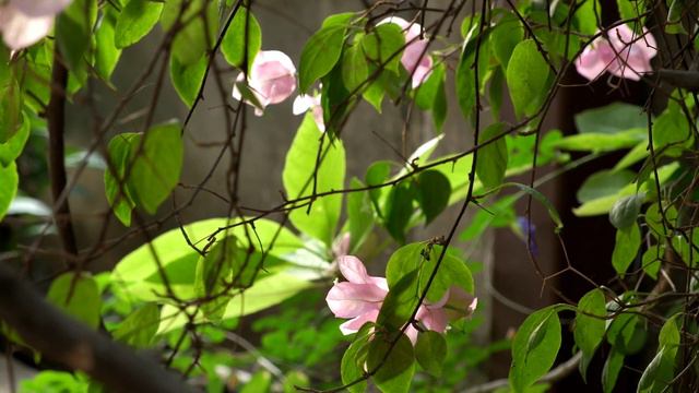 Домик в деревне смотреть онлайн