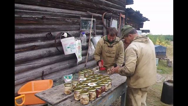 Как мариновать грибы в автоклаве. Белорусский автоклав. смотреть онлайн