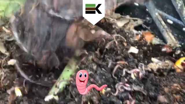 Prekopávač kompostu a kalifornské dážďovky. Dvojica na nezaplatenie. смотреть онлайн