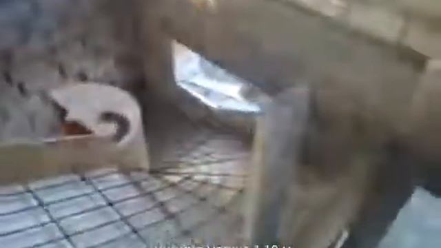 Бетонная лестница процесс изготовления смотреть онлайн