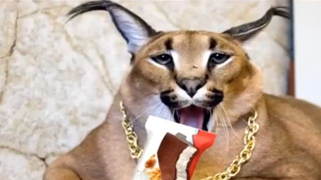 Шлёпа рекламирует Киндер молочный ломтик смотреть онлайн