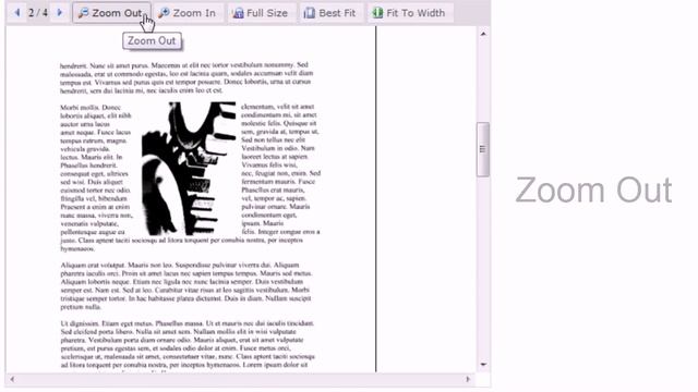 Using the DotImage Web Document Viewer смотреть онлайн