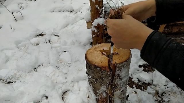 ПВД. Готовка в зимнем лесу смотреть онлайн