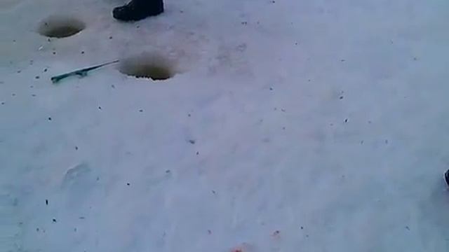 Турбаза «Летучий корабль» Киров Калужской обл. смотреть онлайн