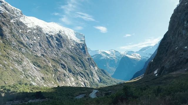 Вегетарианские Блюда и Гастрономия