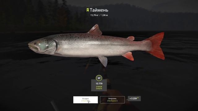Русская рыбалка 4 (РР4) р. Нижняя Тунгуска Russian Fishing 4 (RR4) R. Lower Tunguska Taimen