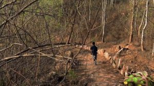 Temple Run 2: Lost Jungle- In Real Life
