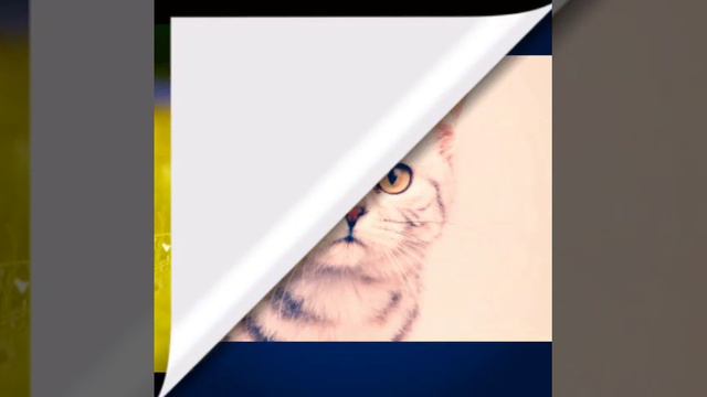 Кис кис мяу мяу + картинки = 🐱 смотреть онлайн