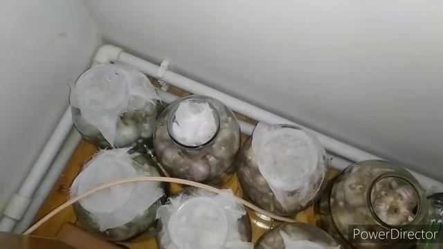 ЛУЧШИЙ СПОСОБ ХРАНЕНИЯ ЧЕСНОКА. ИЗВИНИТЕ МЕНЯ ЗА МОЙ ФРАНЦУСКИЙ смотреть онлайн