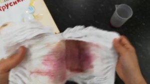 Обзор Huggies Elite Soft трусики