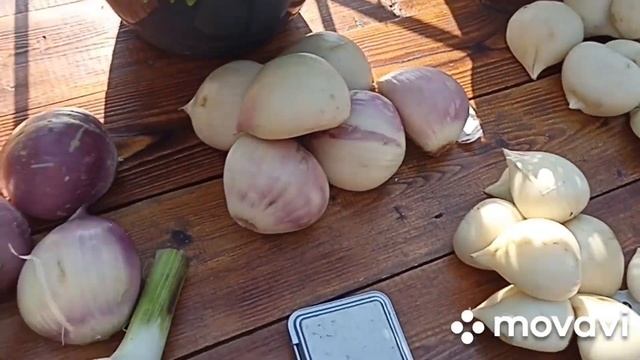 ЧЕСНОК МЕДВЕЖИЙ КОГОТЬ И РОКАМБОЛЬ ИЮЛЬ 2023 Г // ВАЦАП ДЛЯ ЗАКАЗА 8-915-245-81-59 ПИСЬМЕННО смотреть онлайн