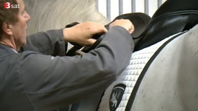 Das weiße Ballett: Die Spanische Hofreitschule Doku (2011) смотреть онлайн