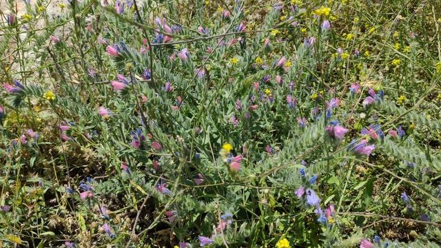 19 хешвана 5784 — 2 ноября 2023. Ночной урок Зоар с равом Цви Элазар Давид Нисанзон смотреть онлайн