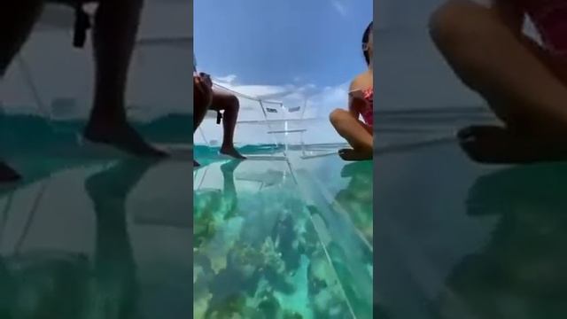Прозрачная лодка смотреть онлайн