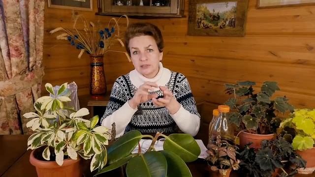 Садовые заботы в январе и феврале смотреть онлайн