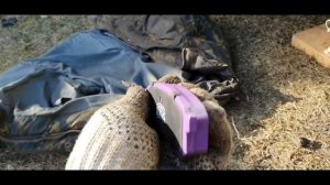 Замена задних тормозных колодок на Toyota Land Cruiser Prado 150 2012г.