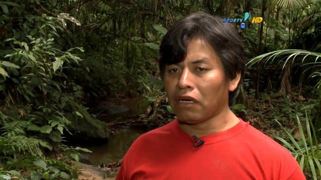 Conheça a cultura e costumes de uma tribo Guarani смотреть онлайн