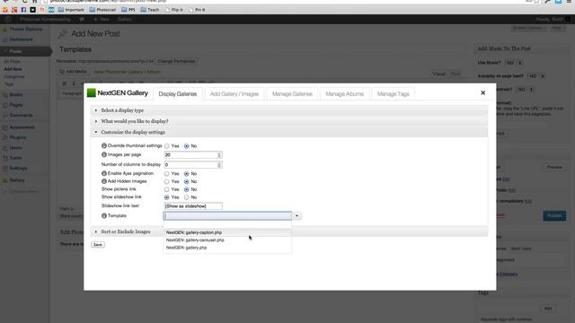 Templates in NextGEN Gallery 2.0 смотреть онлайн