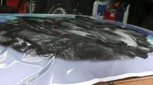 Наклейка на капот ВОЛК 2