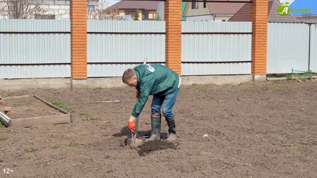 Как избавиться от проволочника: 5 лучших способов смотреть онлайн