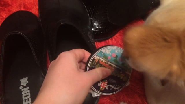 Покупки из Венгрии. Что привезти из Венгрии? смотреть онлайн