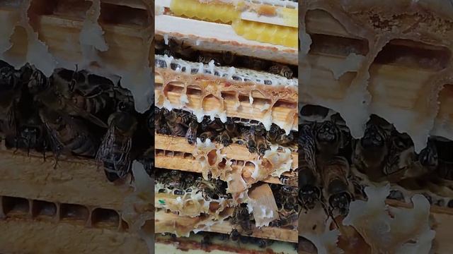 3 декабря 2022 г. смотреть онлайн