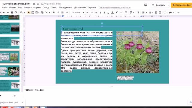 Урок 5 Презентация Гугл Комментарии смотреть онлайн