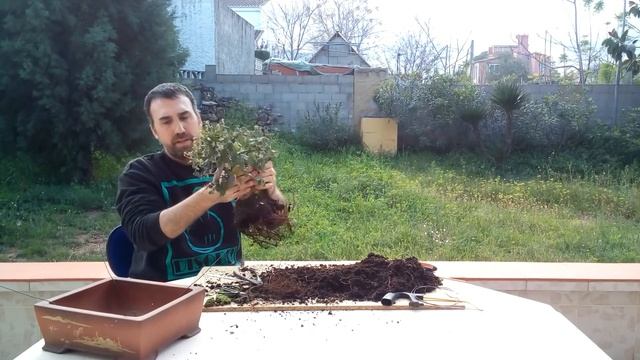 Trasplante de un Quercus suber "Alcornoque" смотреть онлайн