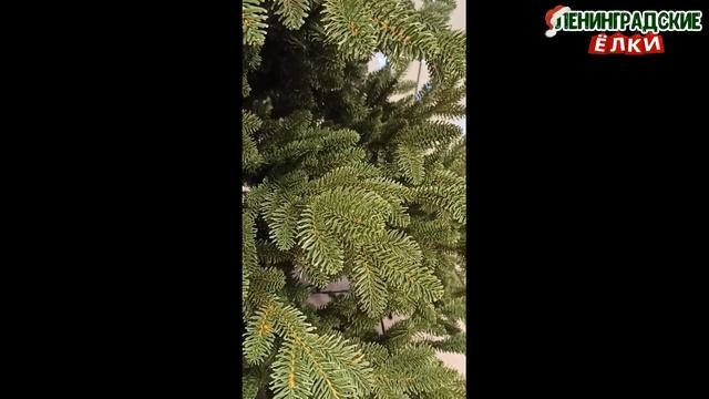 Ель "Монтерей" Люкс Видео сборка елки 210 см смотреть онлайн