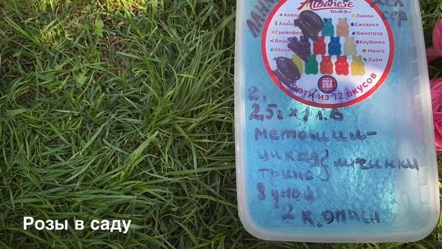 ЦВЕТЕНИЯ РОЗ, ПРЕПАРАТ ОТ ТРИПСА, ЛАННАТ!!!  Роза Транквилити Rosa Tranquillity ОШИБЛАСЬ , .