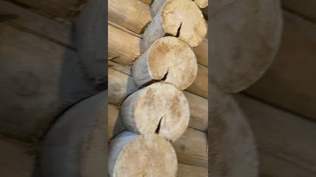 Маленький глазастик, пугает большого ?? смотреть онлайн