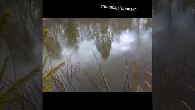 поход на пруд, деревня бельчица часть 1 смотреть онлайн