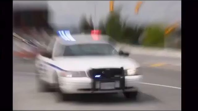 Loli FBI meme | funny смотреть онлайн