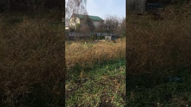 Бизнес на малине смотреть онлайн
