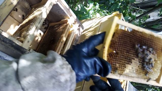 Нуклеус смотреть онлайн