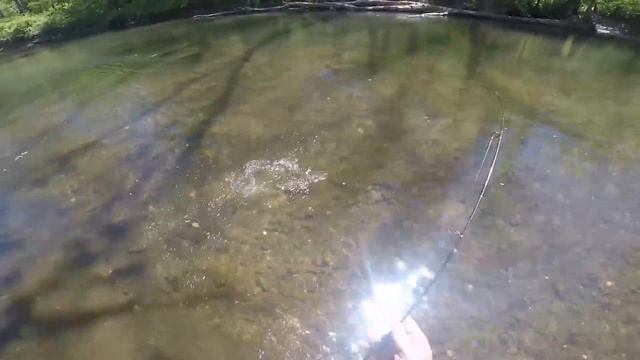 Rainbow Trout on Berkley Gulp Minnow смотреть онлайн