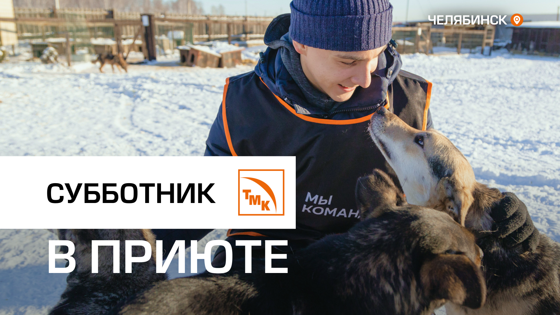 ЧТПЗ помог приюту для животных