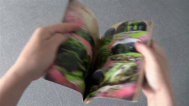 Альбом на скрепке смотреть онлайн