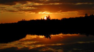 Иеромонах Роман. «Ликует Рим в языческом весельи...»