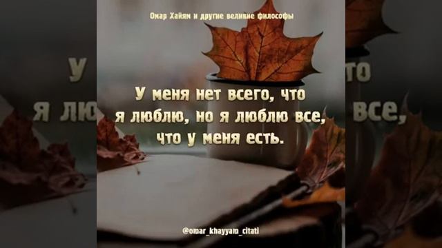 всё верно! смотреть онлайн
