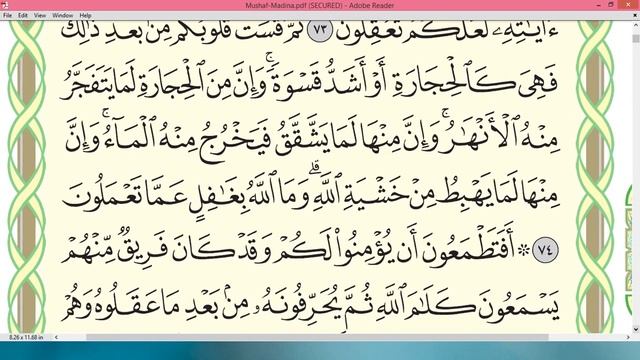 Sheikh Ayman Swayd Surah AL BAQARAH page 11 смотреть онлайн