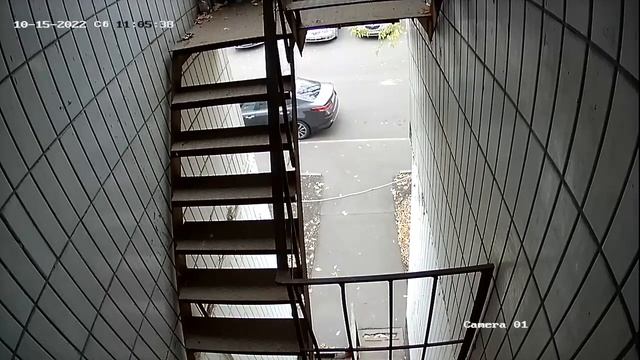 2022 10 15 10 35 Шиномонтаж Аварийка ГБУ Жилищник смотреть онлайн
