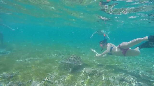 Путешествие по Индонезии (полная версия) смотреть онлайн