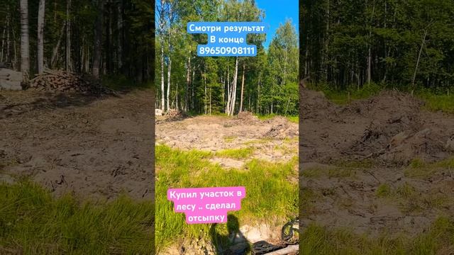ИДЕАЛЬНАЯ ПЛАНИРОВКА ДАЧНОГО УЧАСТКА #экскаватор #дача #стройка #участок #сад #дом #дренаж #ландшаф смотреть онлайн