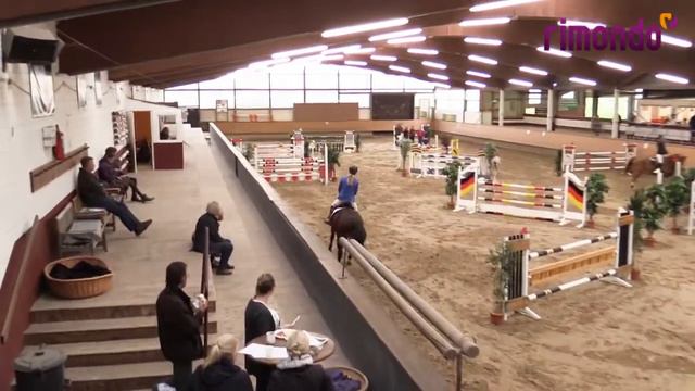 Zandor Alpha Z | Alt-Marl 2017 смотреть онлайн